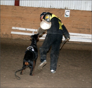 Training in Estonia 11/2007